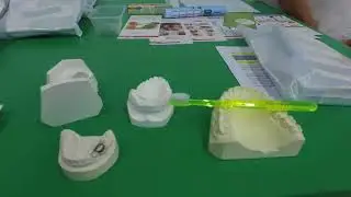 Looking After Little Teeth