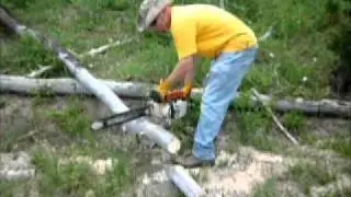 Stihl 041 Farmboss Chainsaw cutting Quaking Aspin
