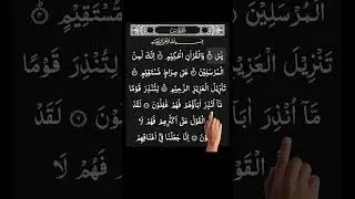 Surah Yasin | Beautiful & Peaceful Quran Recitation | Heart of the Quran #yasin #calmquranrecitation
