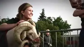 Experience CSU at Transfer Ram Welcome 2015