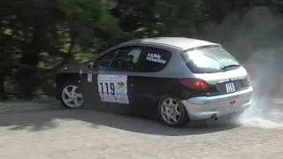 Rallye du Laragnais 2025[HD]Crash & Show-RALLYE LULU