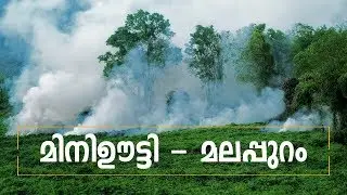 Mini Ooty  Arimbra Hills, Malappuram | വേങ്ങരക്കാരുടെ മിനി ഊട്ടി