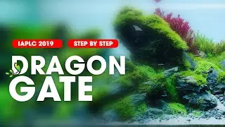 #1 Step by step - IAPLC 2019 Rank 347 DragonGate