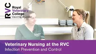 Infection Prevention and Control Interview