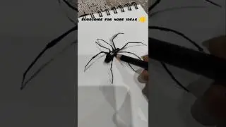 Realistic Spider Drawing with Pencil | Easy 3D Sketch Art | Satisfying Drawing Video 🕷️✏️