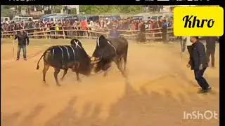 mukhla vs Thoh furtunal 🤤🤤
