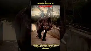 ಕದನದೋಳ್ ಕಲಿಕರಡಿಯಂ ಕೆಣಕಿ ಉಳಿದವರಿಲ್ಲ..! #karadi #abhimanyu #elephant #news #youtubeshorts