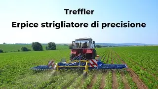 Erpice strigliatore di precisione TREFFLER
