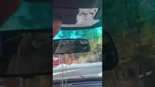 How to change 2016 Ford Explorer v6 interior light to led