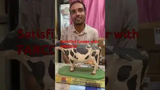 SATISFACTION WITH FARCOW WELFARE SOCIETY MP #farcow #cow #dairyherd #dairyfarming