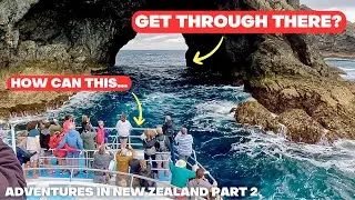 Exploring New Zealand&rsquo;s North Island&rsquo;s INCREDIBLE highlights. Let us take you there!
