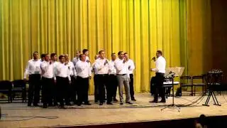 Vasile & Toflea - O carte cu sapte peceti...