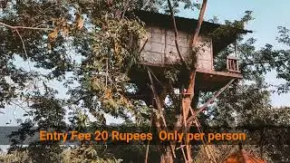 Kakoijana reserved forest is located near Abhayapuri in Bongaigaon district.famous for golden langur