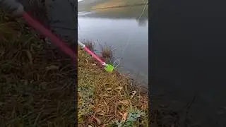 Рыбалка На Пружину Ловля Карася