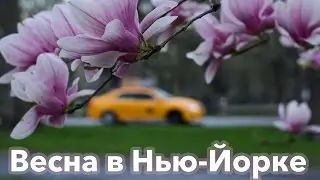 Жизнь в США. Весна в Нью-Йорке. | Spring in NY. Central Park by Katya Fevi