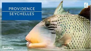 Providence Atoll