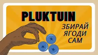 Pluktuin ягодний день: смородина, ожина, чорниця, крижовник 🌿 | збираємо ягоди самі! 