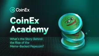 CoinEx Academy What&rsquo;s the Story Behind the Rise of the Meme-Backed Pepecoin?
