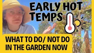 Early Hot Weather Coming: What To Do + NOT Do in The Garden Right Now!
