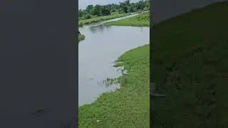 Rapti river at chitwan national park