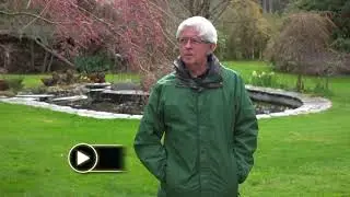 NI Rhododendron Society's Annual Rhodo Sale and Mothers Day Garden Tour