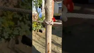 Mastering the Constrictor Knot #knowledge #technique #climbing #rope