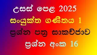 Al 2025 pure Question 16