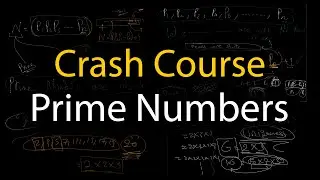 مقدمة حول الأعداد الأولية وبراهينها ☑