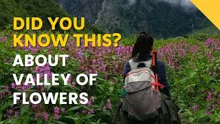 9 Interesting Facts About the Valley of Flowers Trek | Did You Know? | Indiahikes | May 2021