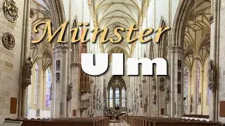 Mit dem Rollstuhl im Ulmer Münster
