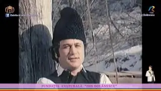 Ion Dolănescu - Călătorule din drum