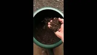 How Does A Dog Poop Septic Tank Work - Doo Poo Composter