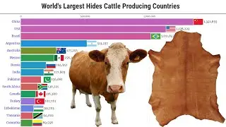 Data Is Beautiful - World's Largest Cattle Hides Producing Countries (1961 - 2025)