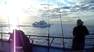 Heading out on a fall Stripe bass and Blue fishing trip on the Brooklyn VI