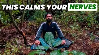 This 6-Minute Meditation Instantly Calms Your Nerves | DAY 183