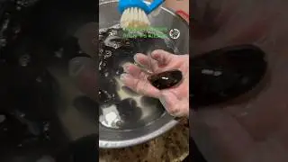 How to Clean Mussels #mussels #seafood #holidayrecipes #christmas2023