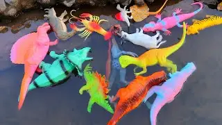 SERU Berburu Dinosaurus Lucu Dan Mainan Hewan Di Aliran Irigasi Air Part 174 | hobbybermainofficial