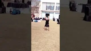 India Ka Talent #talent #motivation #yoga #uttamyoga #india #bjp #ukraine #viral #trending #fitness