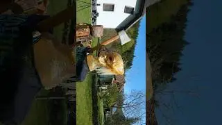Throwing axe vs. Ballistic gel predator in ultra slowmotion #ballisticgelpredator #ballisticgeldummy