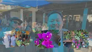 Kalimpong bibaray haat||Poinsettia||bougainvillea||stock|| @ajvlog4128 