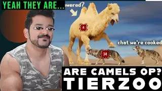 Are Camels OP? (TierZoo) Reaction