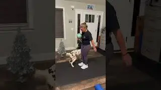 Hiro&rsquo;s entry for the 2025 AKC National Trick Dog competition 