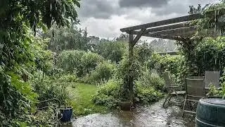 🌧️ Rain Veil Atmosphere | Gentle Continuous Sound for Rest