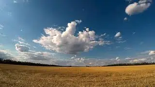 Beautiful Steppe Under the Sky