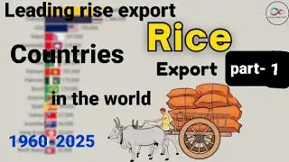 Global rice trade war: top exporting countries (1960-2025) 🌍🌾 part-1