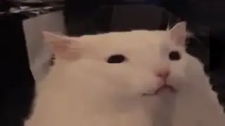 Thurston Waffles Scaling Meme