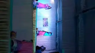 New year Jamodi