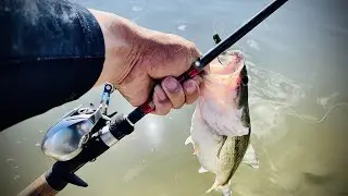#石頭公園#Daiwa 21款 Zillion SV TW#huerco FF600 5C