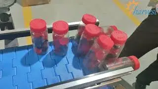 Fully automatic double head plastic caps screw capping machine, auto servo PET can screw capper