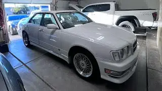 REVIVING the paint on this MINT Nissan Cedric!